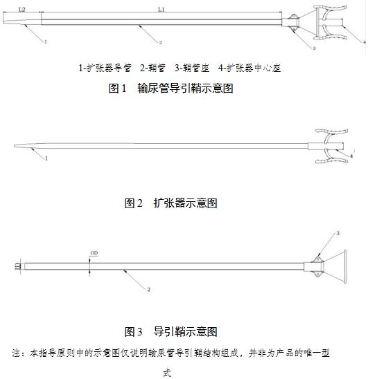 一次性使用输尿管导引鞘注册审查指导原则(2021年第102号)(图2) 一次性使用输尿管导引鞘注册审查指导原则(2021年第102号)(图2)